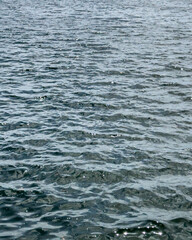 Fototapeta premium water surface with light reflections