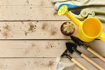 Set of gardening tools and cactus on wooden background