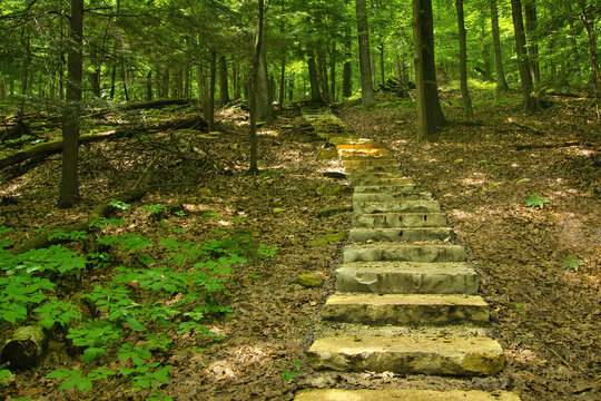Summer closeup of stone steps going uphill along the Sturgeon Bay Segment of the Ice Age Trail in Potawatomi State Park, near Sturgeon Bay, Wisconsin.