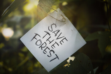 paper calling to save the forest, paper that says save the forest