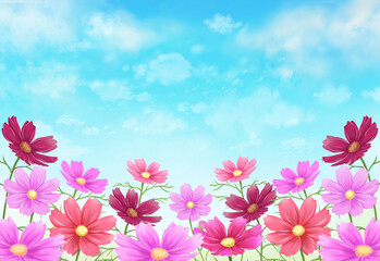 コスモス畑　水彩画　素材　秋の花　晴れ　カラフル　さわやか　華やか　行楽　田舎　ハイキング　ピクニック　挿絵　ポストカード　ポスター