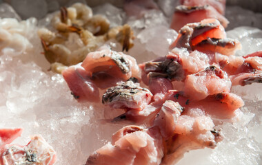Sliced ​​sea bass for cooking in an ice tray.