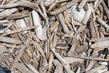 wood texture (driftwood)