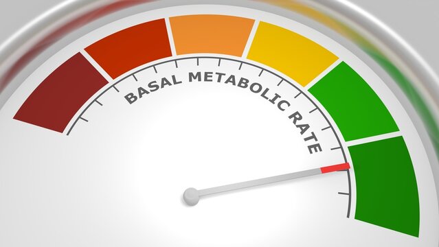 Basal metabolic rate abstract measuring device. Meter scale with arrow. 3D render