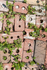 mostly old red brick texture with plants