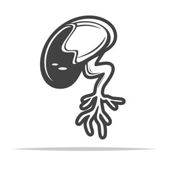 Seed growing roots germination icon transparent vector isolated