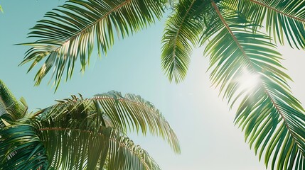 Beautiful tropical beach and leaves of coconut palm trees at sun : Generative AI © The Little Hut
