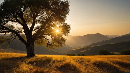 Fototapeta premium Golden light filtering through a scenic landscape with rolling hills and fields