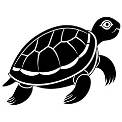 Vector of turtle design on white background. Easy editable layered vector illustration. Wild Animals.