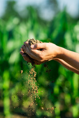 Soil in the hands of the farmer. Agriculture. Close-up of farmers hands holding soil. Fertile land....
