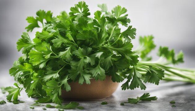 Bunch of fresh green parsley isolated on white