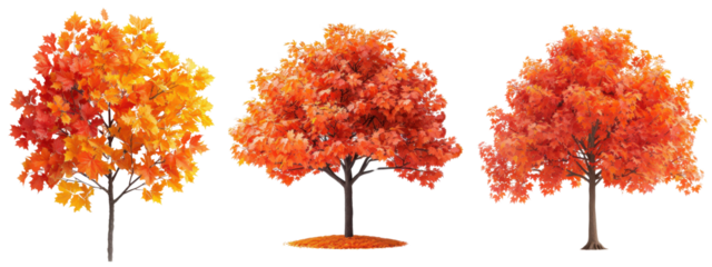 Colorful autumn trees with vibrant fall foliage, showcasing the beauty of nature during the autumn season with rich orange and red leaves.