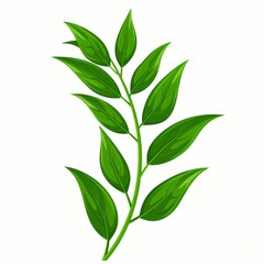 Fototapeta premium A leafy green plant with a long stem