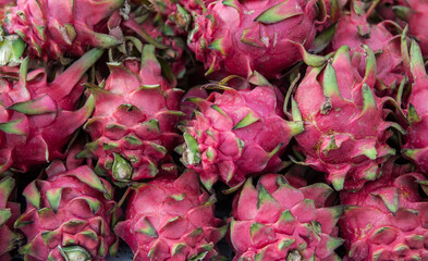 Fresh dragon fruit