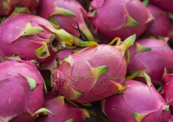 Fresh dragon fruit