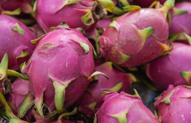 Fresh dragon fruit