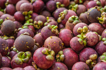 fresh mangosteen fruit