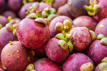 fresh mangosteen fruit