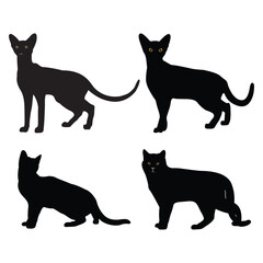 Hand drawing domestic animal silhouettes illustration