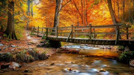 Rustic Wooden Bridge Over Tranquil Stream, Surrounded by Autumn Trees, Weathered Planks Aglow with Vibrant Fall Colors