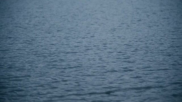 Close-Up of river with wind-caused ripples in backlight. Footage with Correct Color Profile and Basic Color Grading for Versatile Use. F-Log2, MOVH.265 All-I 4:2:2 10bit 360Mbps.