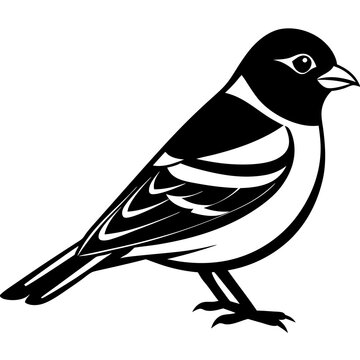 recommend clip art: Chaffinch Icon Silhouette Vector Art Illustration