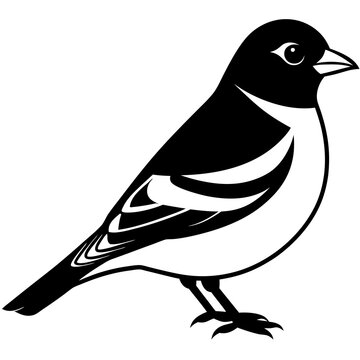 recommend clip art: Chaffinch Icon Silhouette Vector Art Illustration