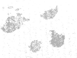 grunge vector background with splash