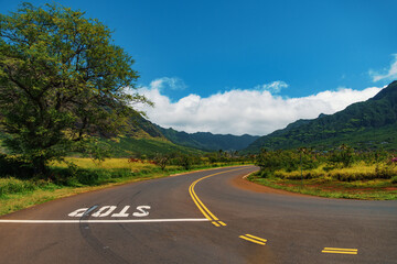 The side of the road has the word stop painted on it