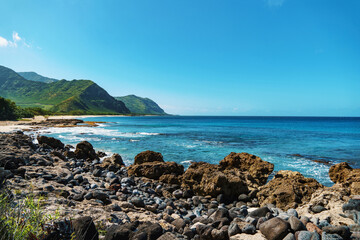 Rocky beach with mountains and ocean in background
