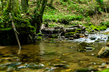 Gentry Falls and Trail Laurel Bloomery TN