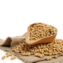 soy beans on white background.