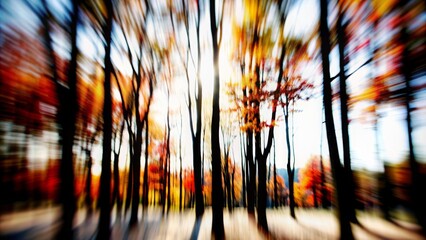 Autumn Forest Blur: A blurred view of an autumn forest with colorful foliage.
