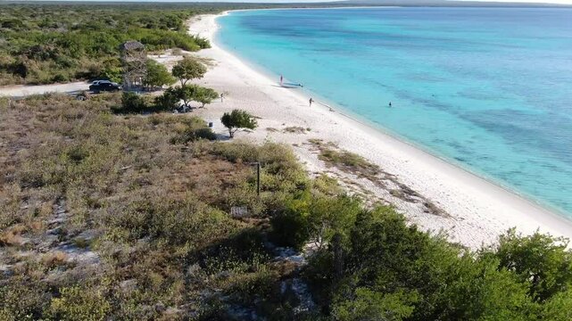 drone shoot of the caribbean beach in a sunny day with clear water in the bay of tropical contry