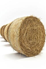 Stack of Hay