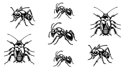 
Sketch of a ant. Vector illustration on transparent background,Insect Insects ant ants emmet pismire banne.r Vector,silhouettes of ants in different poses