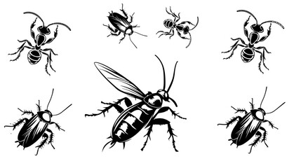 et of Hand Drawn Insects or Small Animals Sketch Vector Illustration Isolated on White Background
Hand-sketched insects collection. Hand drawn beetles, bugs, butterflies, dragonfly, cicada, moths,
 be