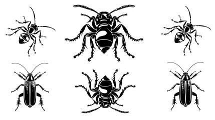 et of Hand Drawn Insects or Small Animals Sketch Vector Illustration Isolated on White Background
Hand-sketched insects collection. Hand drawn beetles, bugs, butterflies, dragonfly, cicada, moths,
 be