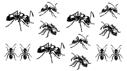 
Sketch of a ant. Vector illustration on transparent background,Insect Insects ant ants emmet pismire banne.r Vector,silhouettes of ants in different poses