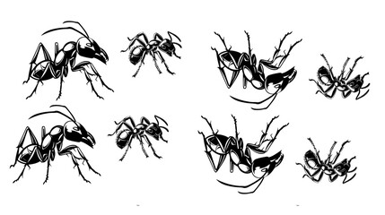 
Sketch of a ant. Vector illustration on transparent background,Insect Insects ant ants emmet pismire banne.r Vector,silhouettes of ants in different poses
