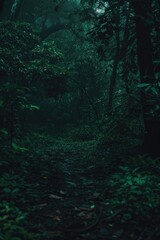 Path in Dark Forest