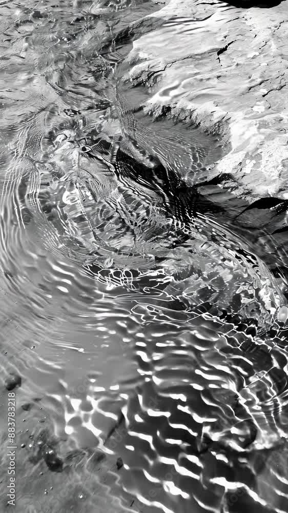 Poster a delicate dance of mesmerizing patterns in a shallow stream. black and white art