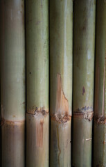 Obraz premium Bamboo partition wall, a natural material