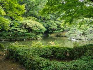 梅雨の成田山公園