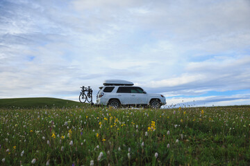 Fototapeta premium Offroad car on flowering grassland mountain under blue sky