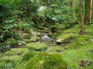 梅雨の成田山公園