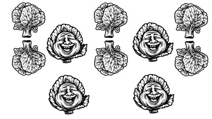 cabbage silhouette, cabbage outline, cabbage icon, cabbage symbol, cabbage graphic