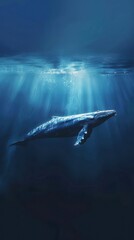 Obraz premium A majestic whale swimming gracefully in deep blue ocean waters, illuminated by beams of sunlight penetrating the surface.
