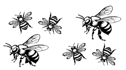 
vector isolated set of insect silhouettes

