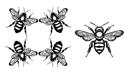 
vector isolated set of insect silhouettes
